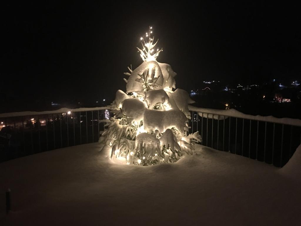 Bellavista Daire Brand  Dış mekan fotoğraf